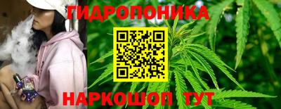 индика Дубна